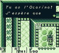 une photo d'Ã©cran de The Legend of Zelda - Link s Awakening sur Nintendo Game Boy